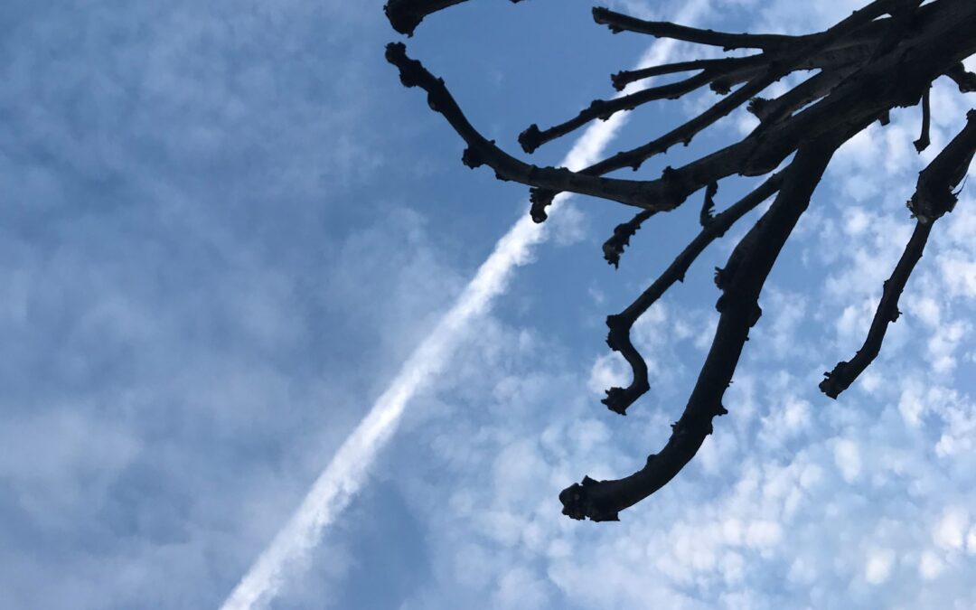 4 reasons why gifted people cannot fall in line