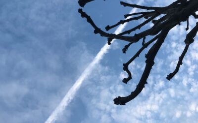 4 reasons why gifted people cannot fall in line