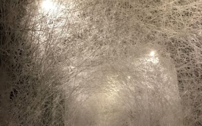 5 fatal reasons why you are bored